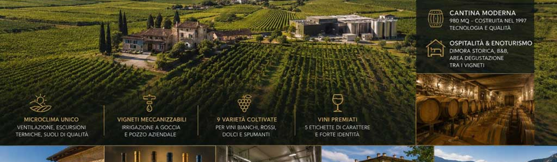 Rovereto, Trento, Italia, ,Tenuta Agricola,Tenute Agricole Vinicole,1174