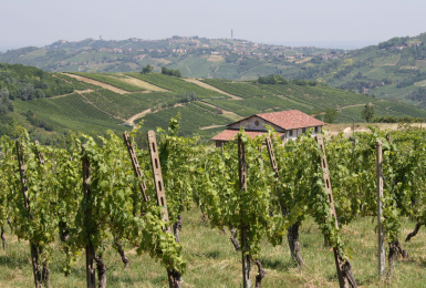appennino, broni, pavia, Italia, 2 Stanze Stanze,1 BagnoBagno,Tenuta Agricola,Cantine e Vigne,appennino,1022