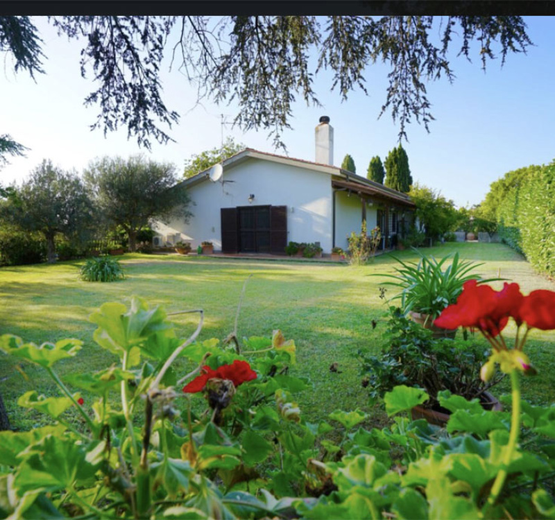 Castelli Romani, Roma, Italia, 8 Stanze Stanze,3 BagnoBagno,Tenuta Agricola,Tenute Agricole Vinicole,1026