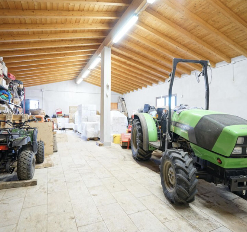 Castelli Romani, Roma, Italia, 8 Stanze Stanze,3 BagnoBagno,Tenuta Agricola,Tenute Agricole Vinicole,1026