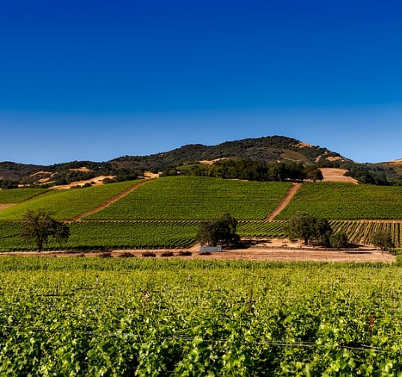 Paesaggio colli romani vicino la tenuta