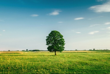 terreno agricolo a Caneva