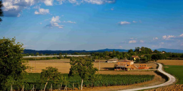 Montepulciano, Siena, Italia, 5 Stanze Stanze,1 BagnoBagno,Tenuta Agricola,Cantine e Vigne,1175