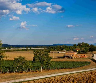 Montepulciano, Siena, Italia, 5 Stanze Stanze,1 BagnoBagno,Tenuta Agricola,Cantine e Vigne,1175