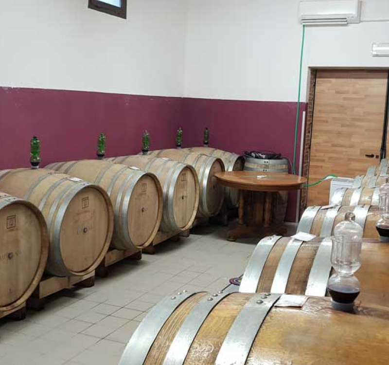 Montepulciano, Siena, Italia, 5 Stanze Stanze,1 BagnoBagno,Tenuta Agricola,Cantine e Vigne,1175