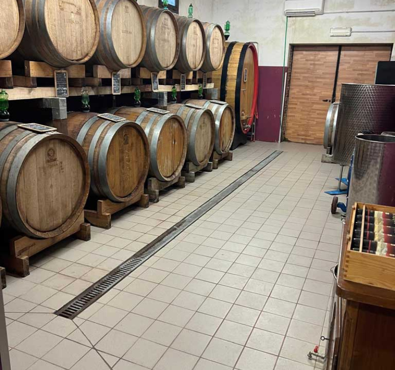 Montepulciano, Siena, Italia, 5 Stanze Stanze,1 BagnoBagno,Tenuta Agricola,Cantine e Vigne,1175