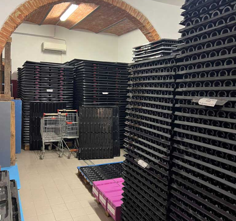 Montepulciano, Siena, Italia, 5 Stanze Stanze,1 BagnoBagno,Tenuta Agricola,Cantine e Vigne,1175