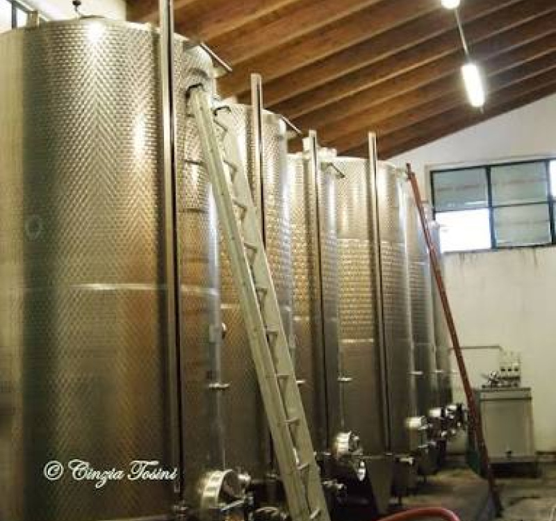 Valle Versa, Pavia, Italia, ,Tenuta Agricola,Cantine e Vigne,1177