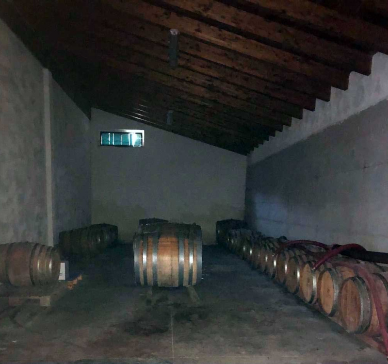 Valle Versa, Pavia, Italia, ,Tenuta Agricola,Cantine e Vigne,1177
