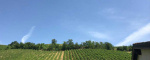 Valle Versa, Pavia, Italia, ,Tenuta Agricola,Cantine e Vigne,1177