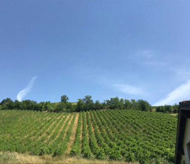 Valle Versa, Pavia, Italia, ,Tenuta Agricola,Cantine e Vigne,1177