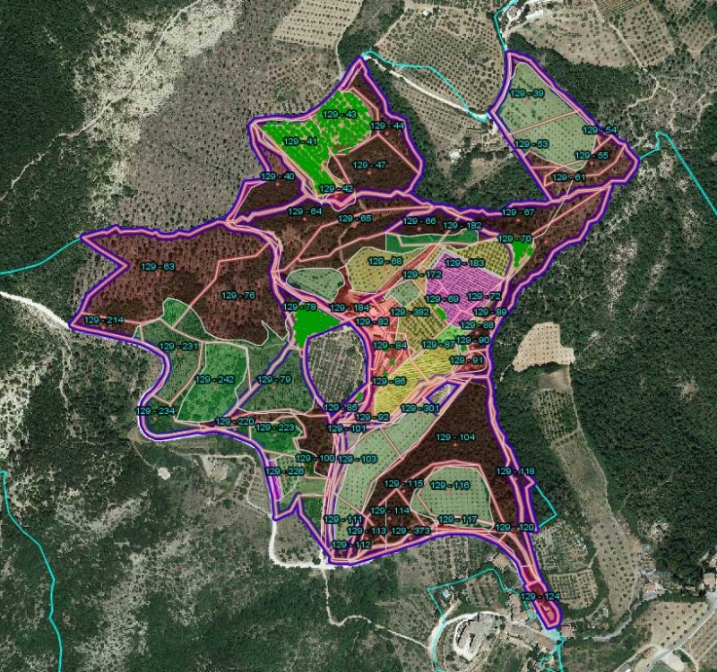 mappa area proprietà di Migliano