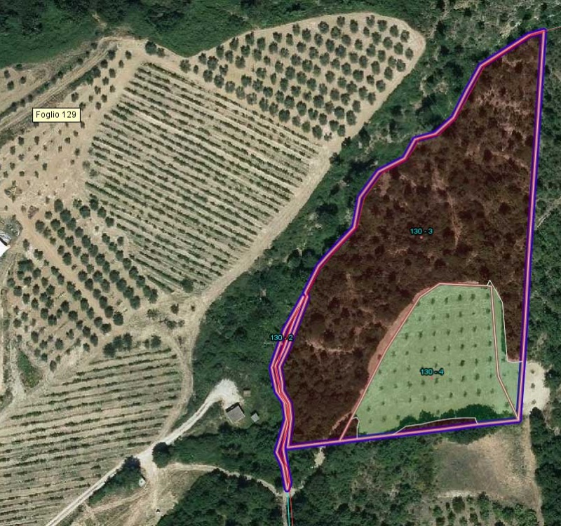 Mappa del lotto principale della tenuta di Migliano