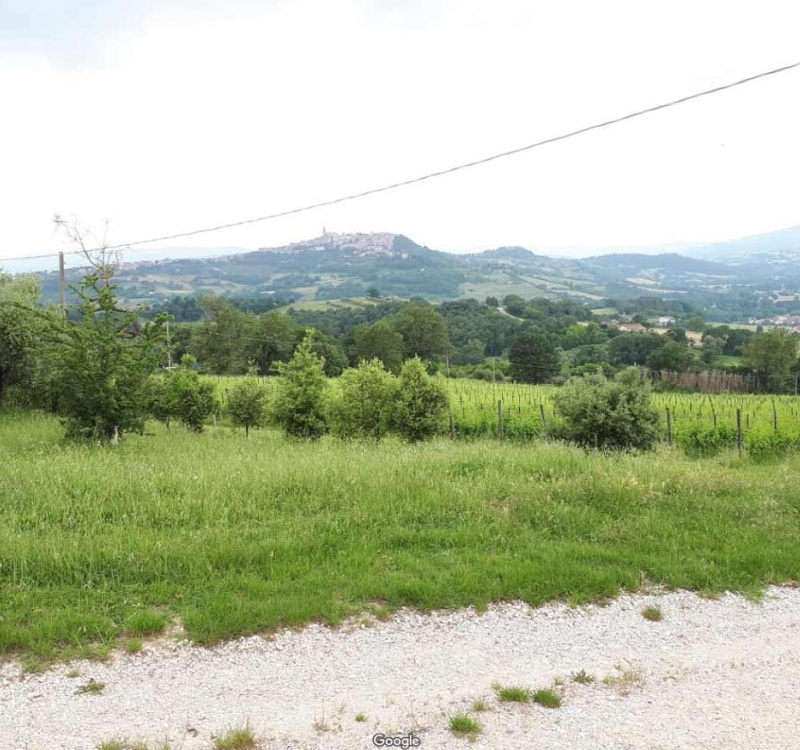 Panorama della tenuta