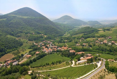 vista del podere con 2 vigneti