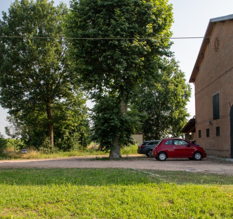 giardino della tenuta Carpi