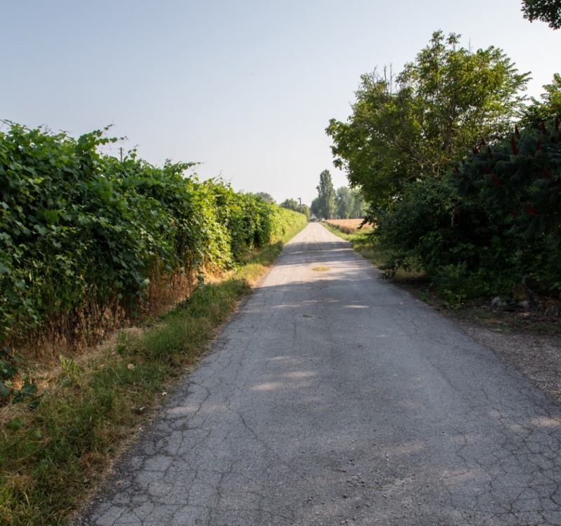 strada incresso della tenuta Carpi