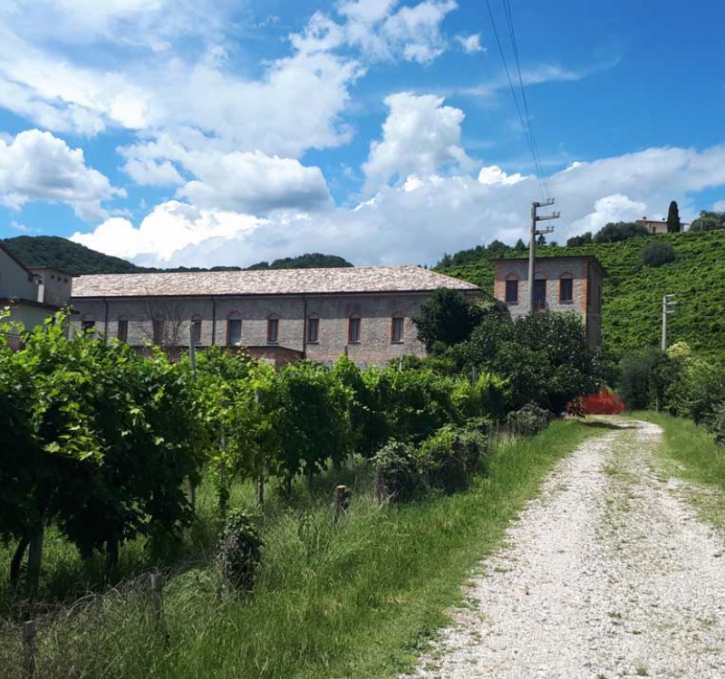 Entrata Cantina Caragiani Farra di Soligo