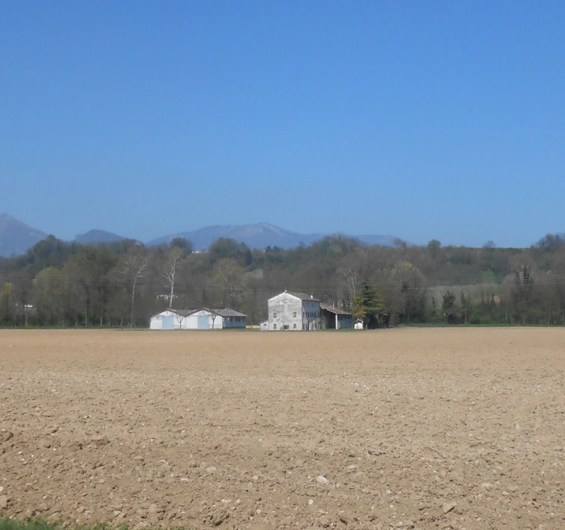 area laterale della proprietà follina colli prosecco superiore