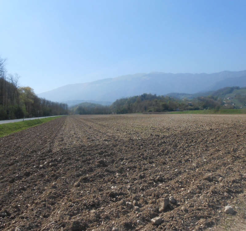 terreno adiacente della proprietà follina colli prosecco superiore