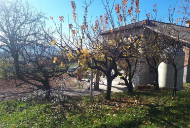 Vista panoramica rustivo Valdobbiadene