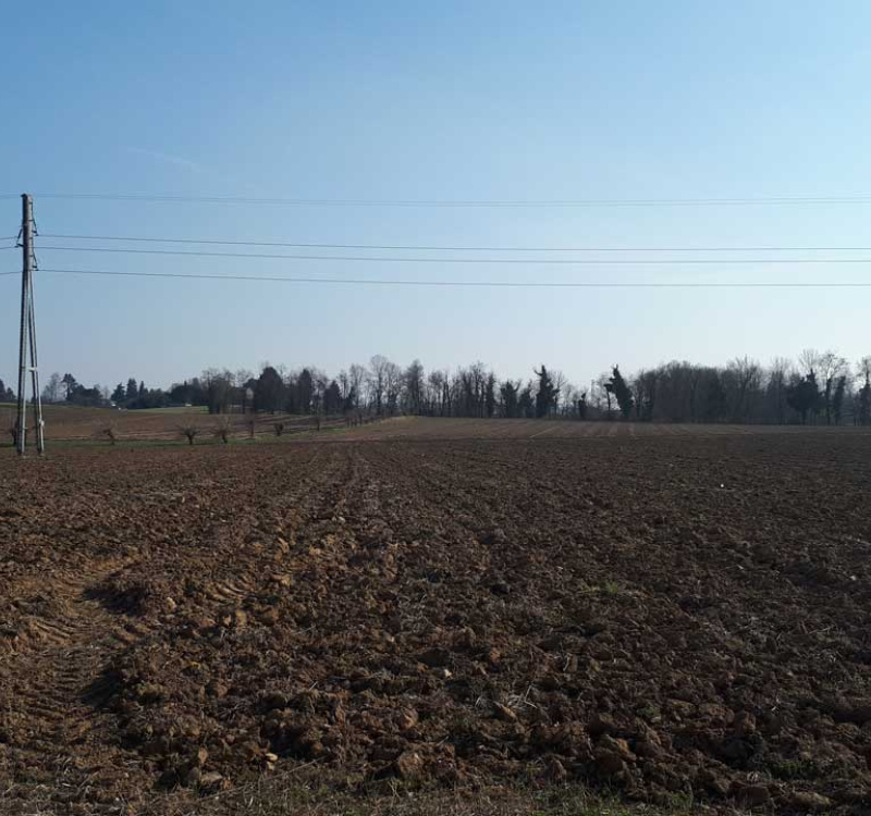 terreno della proprietà di Tarcento