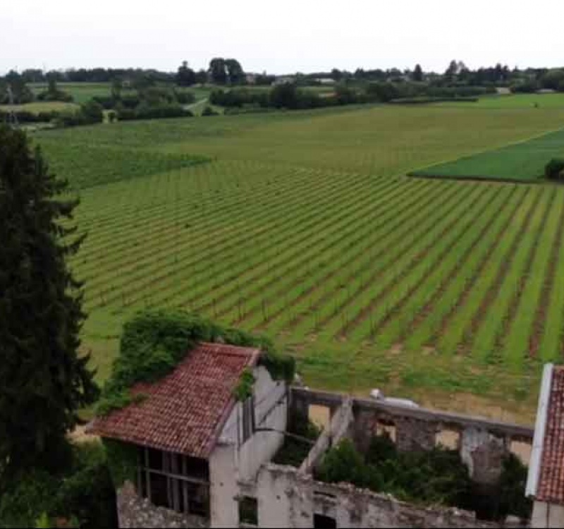 Tarcento, Udine, Italia, ,Tenuta Agricola,Tenute Agricole Vinicole,1077