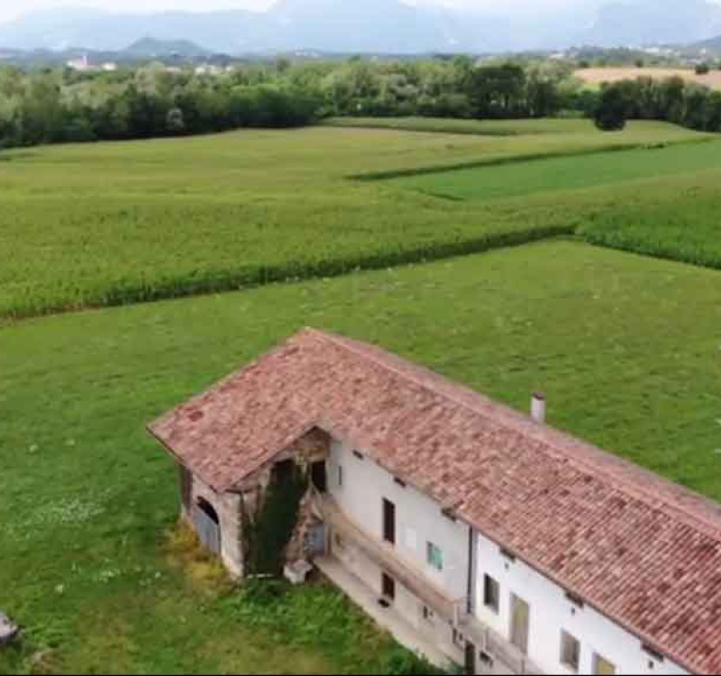 Tarcento, Udine, Italia, ,Tenuta Agricola,Tenute Agricole Vinicole,1077