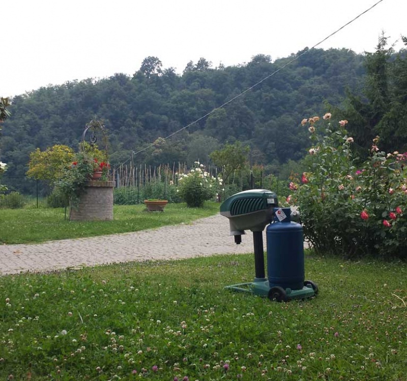 Vista giardino del casale di Vista frontale del casale di Odalengo Piccolo 