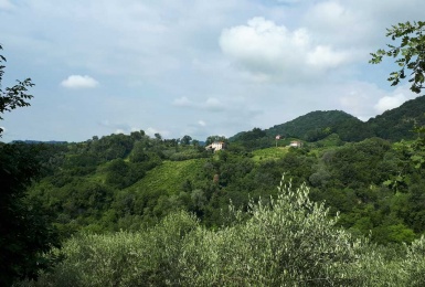 vista della proprietà 
