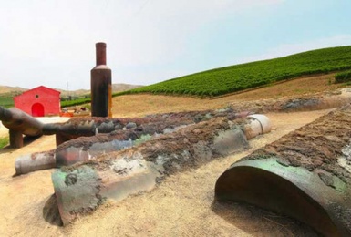 Vista vigneti e opera artistica