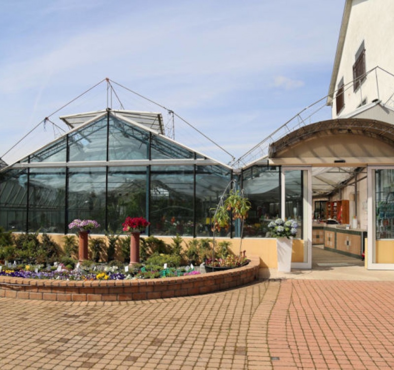 AZIENDA AGRICOLA IN VENDITA A CASTELLAZZO BORMIDA 5