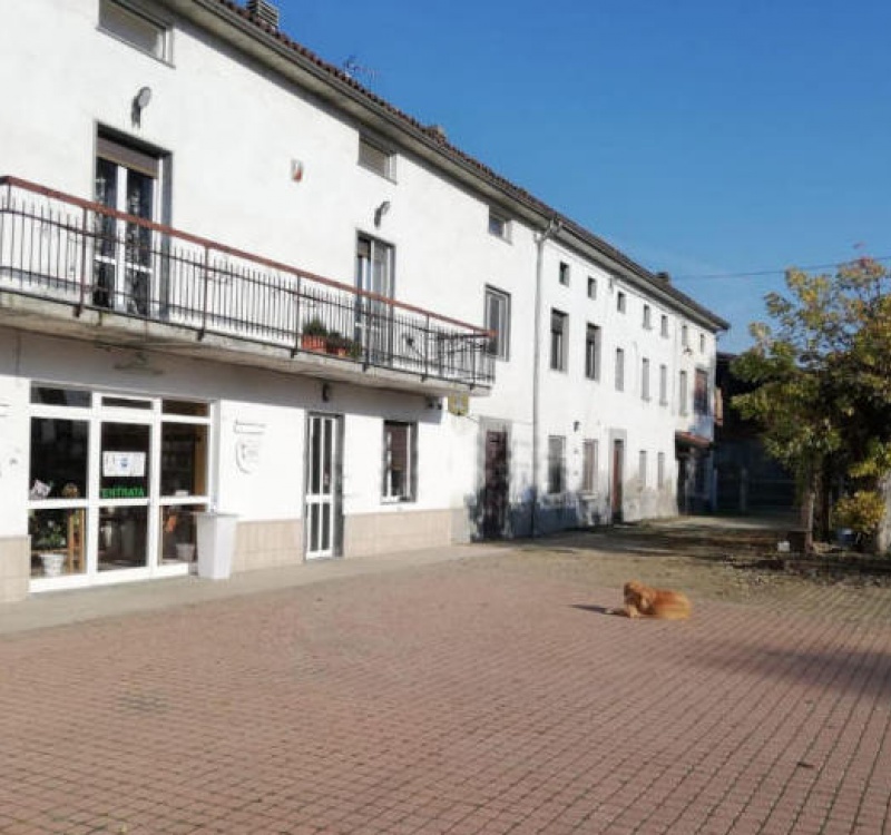 AZIENDA AGRICOLA IN VENDITA A CASTELLAZZO BORMIDA 6