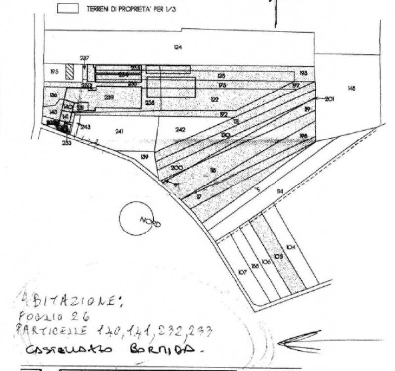 planimetria dell'azienda AZIENDA AGRICOLA IN VENDITA A CASTELLAZZO BORMIDA